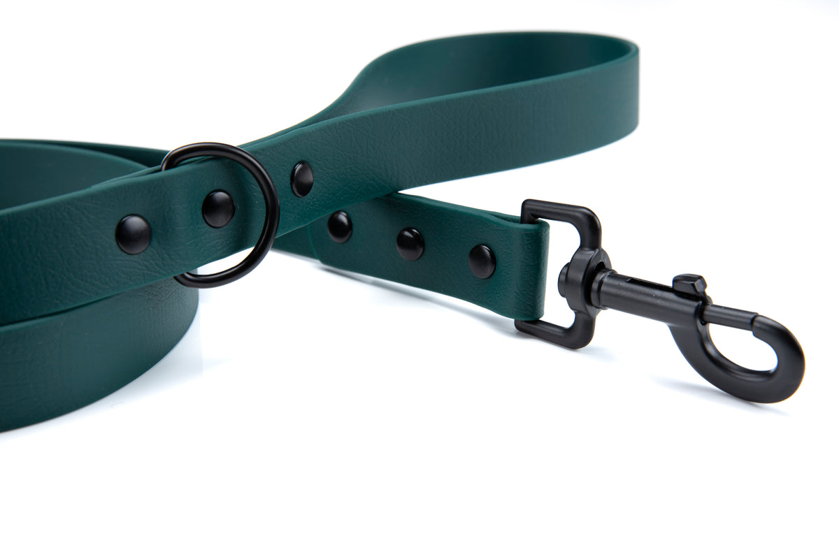 Beta BioThane® leash – Dog in the Woods